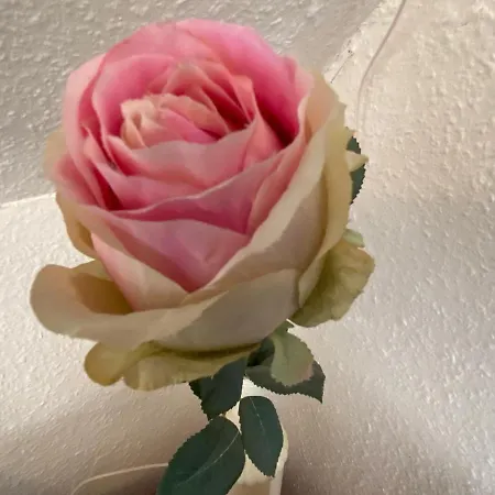 Διαμέρισμα 50119... *