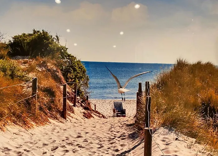 50119... كاروليننسيل