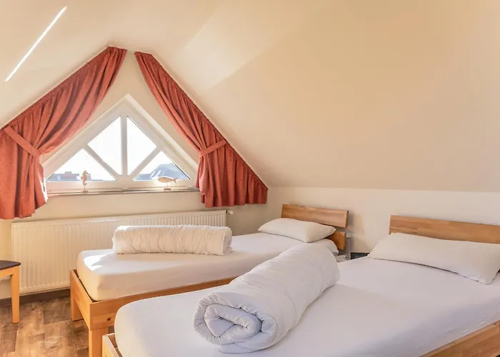 50119... * كاروليننسيل